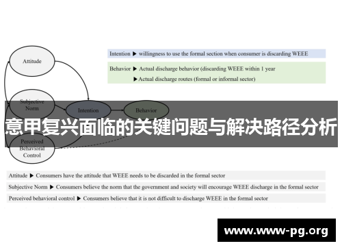 意甲复兴面临的关键问题与解决路径分析