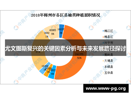 尤文图斯复兴的关键因素分析与未来发展路径探讨