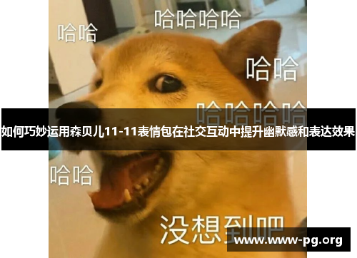 如何巧妙运用森贝儿11-11表情包在社交互动中提升幽默感和表达效果