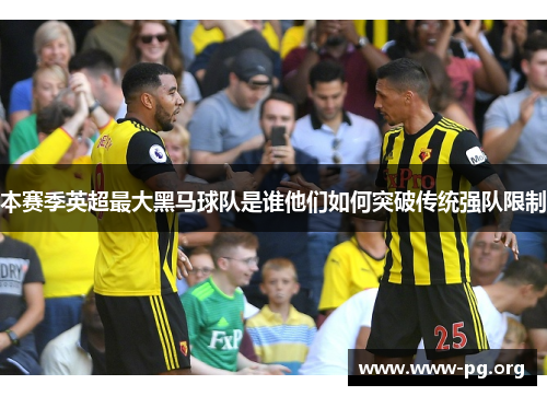 本赛季英超最大黑马球队是谁他们如何突破传统强队限制