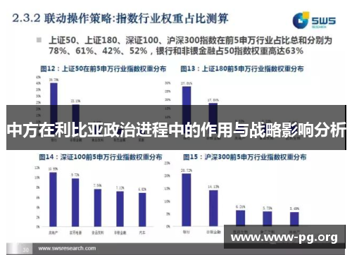 中方在利比亚政治进程中的作用与战略影响分析
