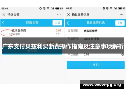 广东支付贝兹利买断费操作指南及注意事项解析