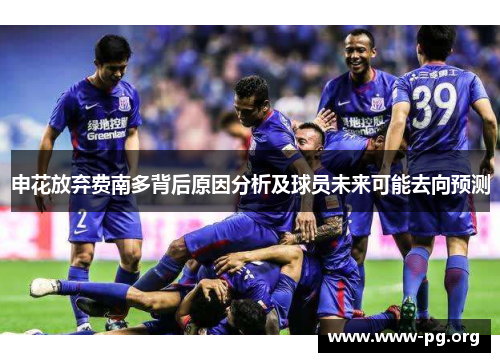 申花放弃费南多背后原因分析及球员未来可能去向预测