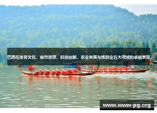 巴西在体育文化、自然资源、科技创新、农业发展与旅游业五大领域的卓越表现
