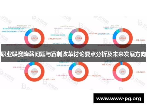 职业联赛降薪问题与赛制改革讨论要点分析及未来发展方向
