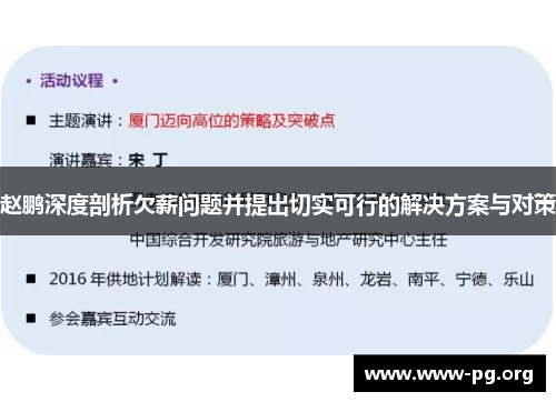 赵鹏深度剖析欠薪问题并提出切实可行的解决方案与对策
