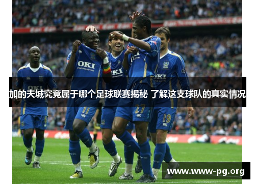 加的夫城究竟属于哪个足球联赛揭秘 了解这支球队的真实情况
