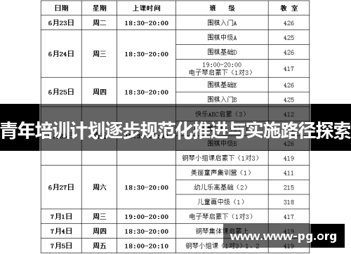 青年培训计划逐步规范化推进与实施路径探索