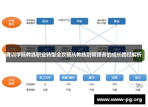 青训学院教练职业转型全攻略从教练到管理者的成长路径解析