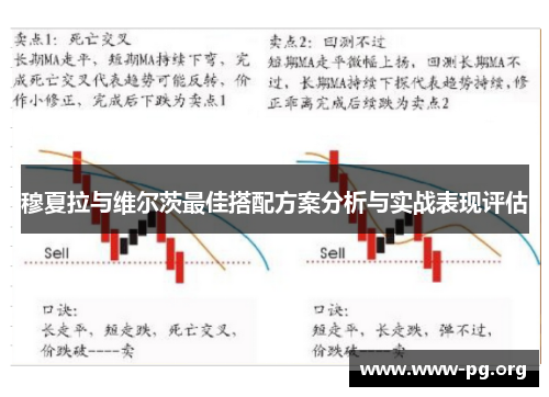 穆夏拉与维尔茨最佳搭配方案分析与实战表现评估