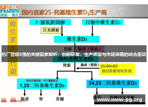 药厂晋级8强的关键因素解析:创新研发、生产质量与市场策略的综合驱动 药厂晋级8强的关键因素解析:创新研发、生产质量与市场策略的综合驱动