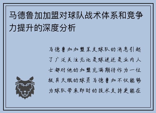 马德鲁加加盟对球队战术体系和竞争力提升的深度分析 马德鲁加加盟对球队战术体系和竞争力提升的深度分析