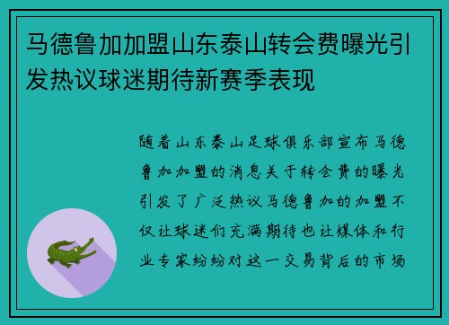 马德鲁加加盟山东泰山转会费曝光引发热议球迷期待新赛季表现
