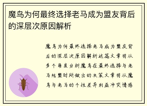 魔鸟为何最终选择老马成为盟友背后的深层次原因解析